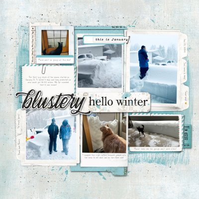 Jan 2024 Winter Storm