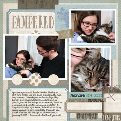 Pampered Sparrow