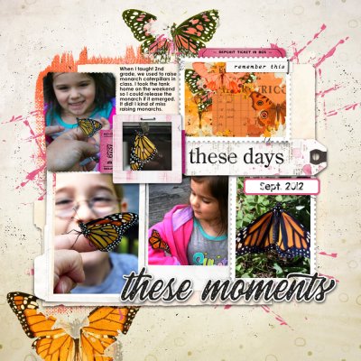 Monarch Visit 2012
