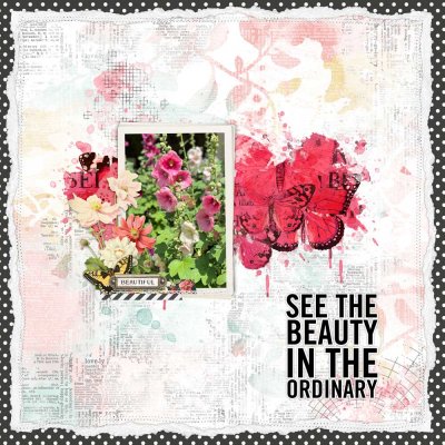 See the Beauty