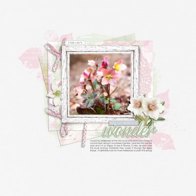 Winter Wonder: Scraplift Chain