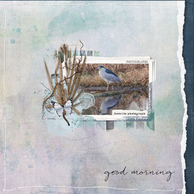 Template Mash Up - Night Heron