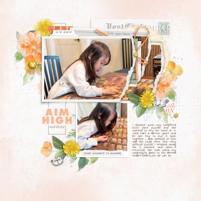 Aim High: SSL 2/22