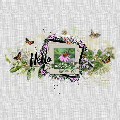 Hello