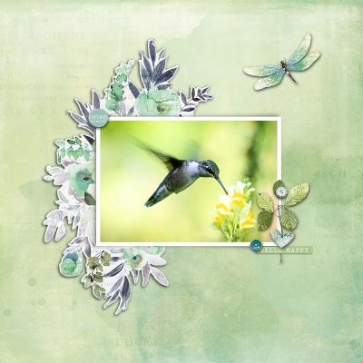 03-2025 Color-Spring