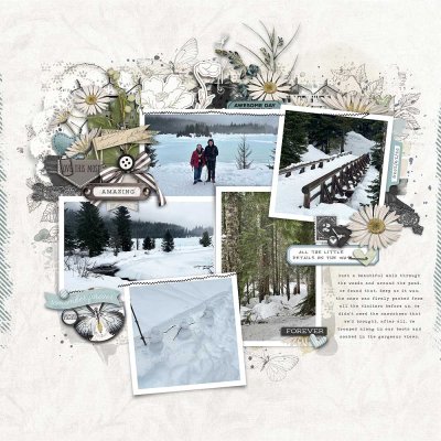 2025-02-23 Gold Creek Pond collage