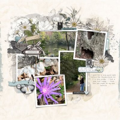 Template mash up todays walk