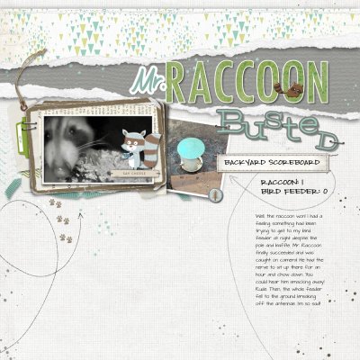 Challenge of the Month - Mr Raccoon