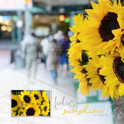 sunflower-ssl 3.14