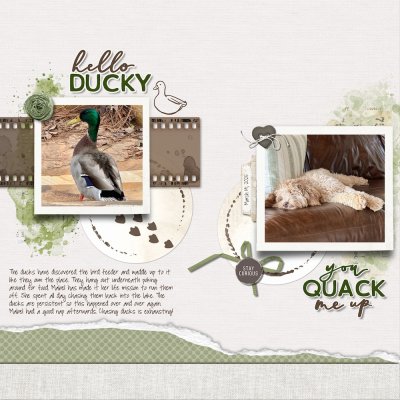 Hello Ducky