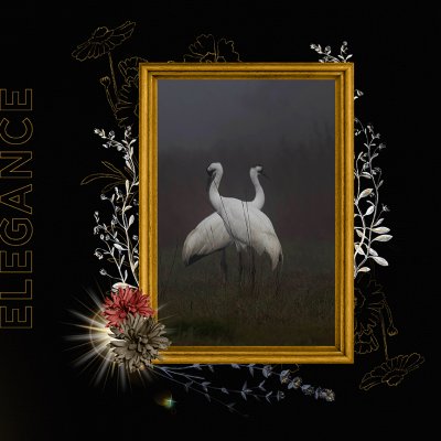 Cranes
