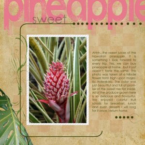 the PINK Pineapple **DD Guest CT**