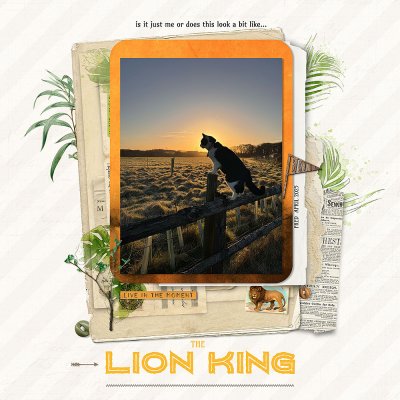 a bit like the lion king...