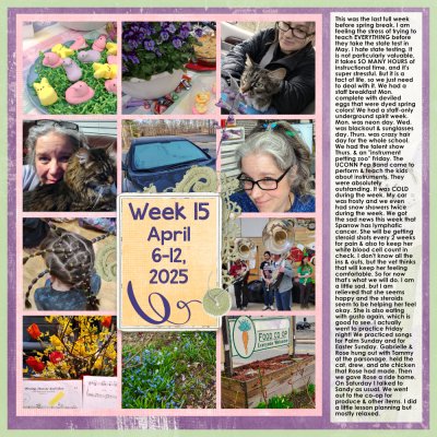 Week 15 2025