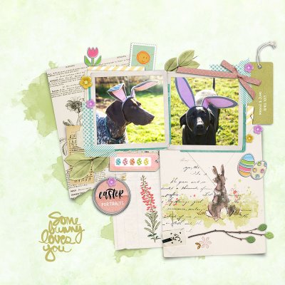 Some bunny