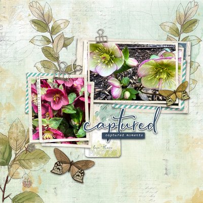 04-2025 Template Mashup2