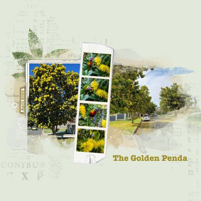 The Golden Penda's