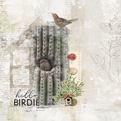 Hello Birdie