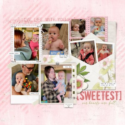 Sweetest Maple