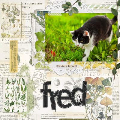 fred