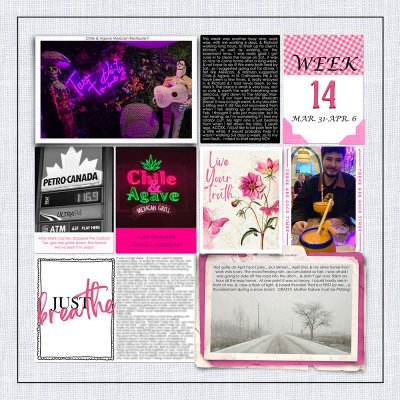 PL_WK 14