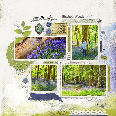 Bluebell woods with Katherine