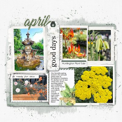 Huntington Plant Sale Page 1