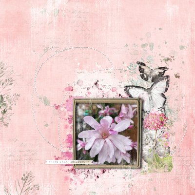 Let’s blend - Magnolia