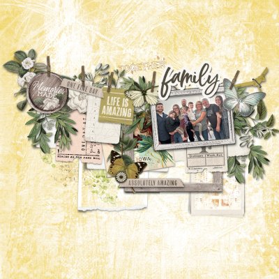 Layer it on - Family