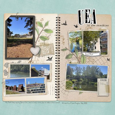 UEA in the sunshine