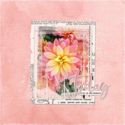 Let's Blend 05/25