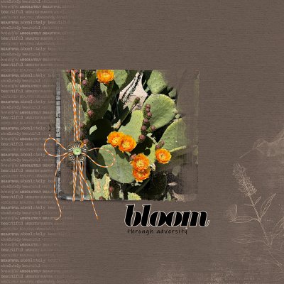 Bloom Through Adversity