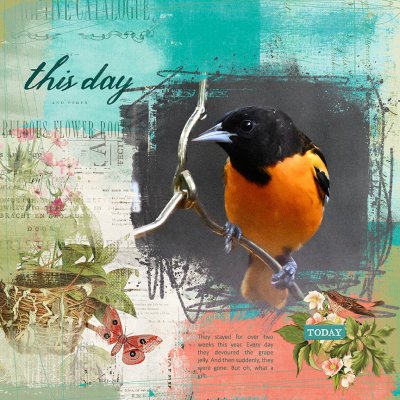 Gift of the Orioles