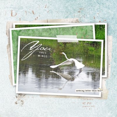 30MM-Egret