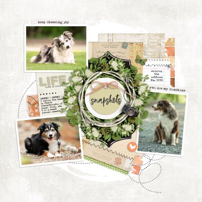 Snapshots: Graphic Challenge