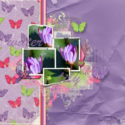 Water Lily