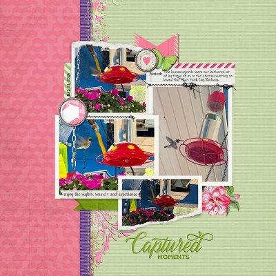 Captured Moments (kit centric)
