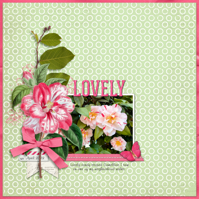 Kit Centric-Summer Gardens_June 2025-Web.png