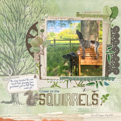 Squirrels...