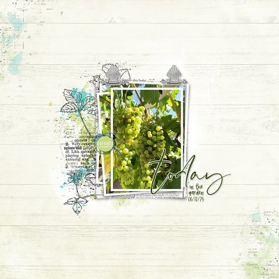 In The Garden 06/10/25