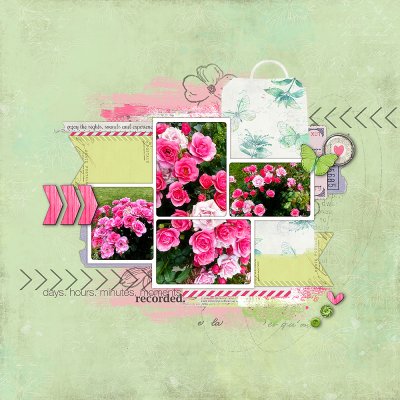 06-2025 Color