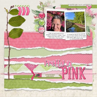 2025-05-06 Pretty in pink