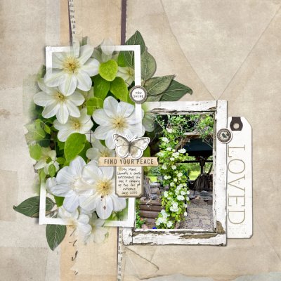 Clematis