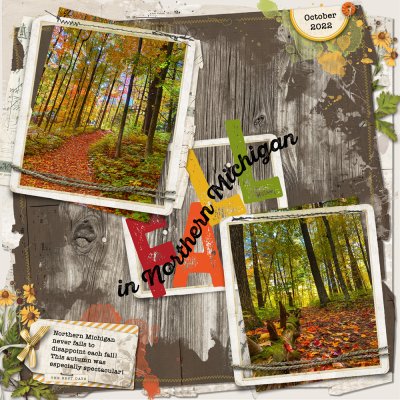 June Sketch Challenge - Fall in Northern Michigan