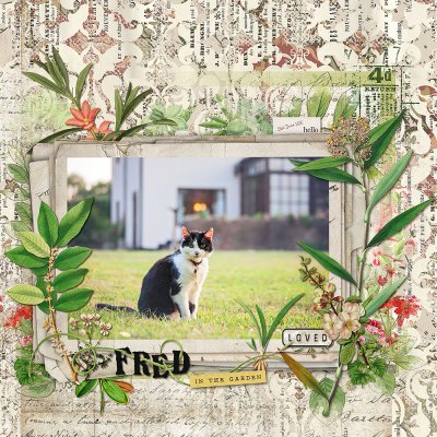 fred in the garden