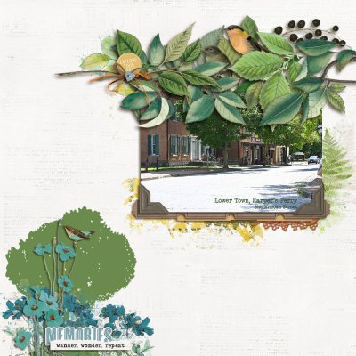 SSL - Lots of Leaves - June 21