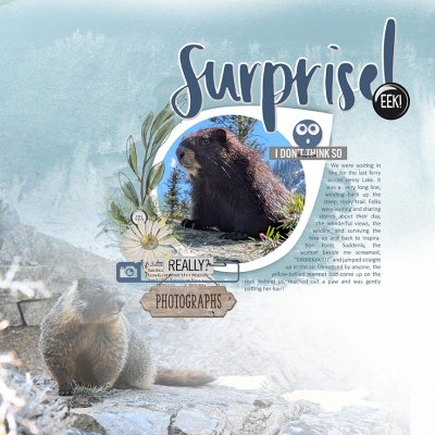 Surprise