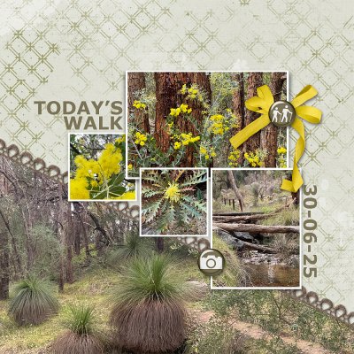 Graphic Challenge - Today's Walk