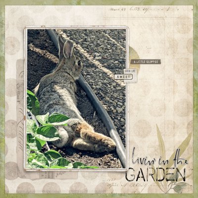 garden bunny