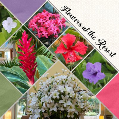 Flowers At The Resort